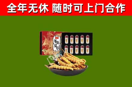 海晏县回收冬虫夏草价格